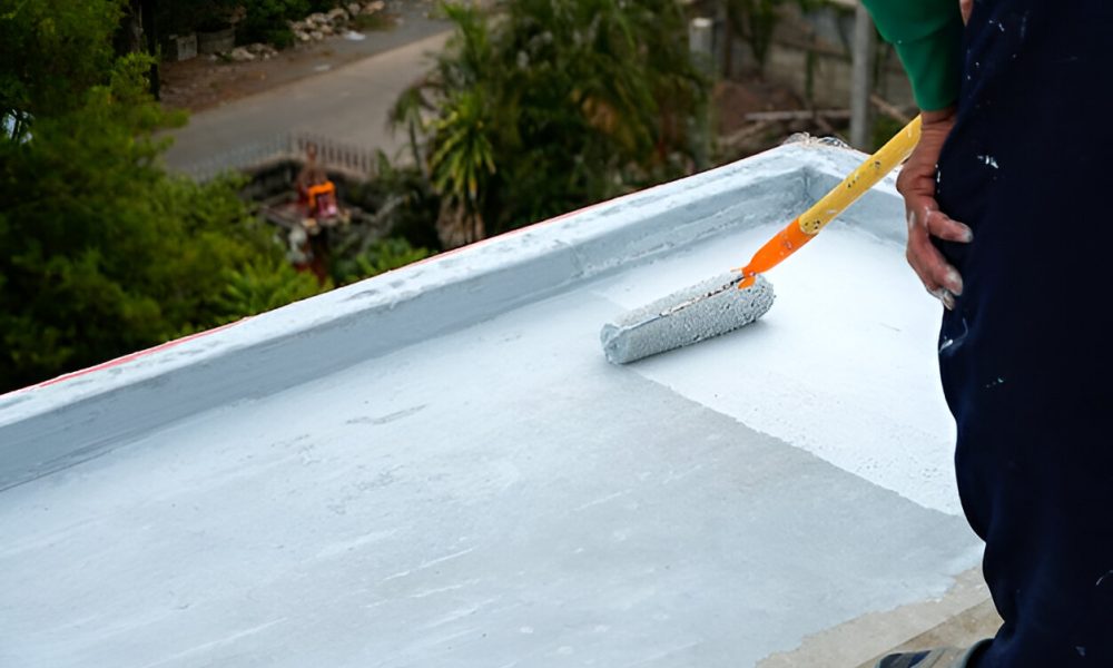 steptodown.com505678